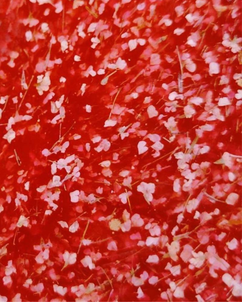 Crooz Гель для нарощування та дизайну Flower gel 7 00000025559 фото